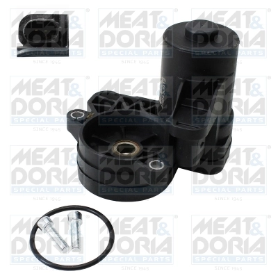 Control Element, parking brake caliper